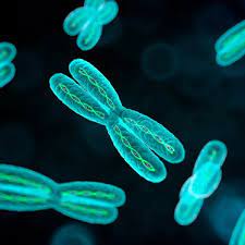 UNLOCKING THE SECRETS OF LONGEVITY